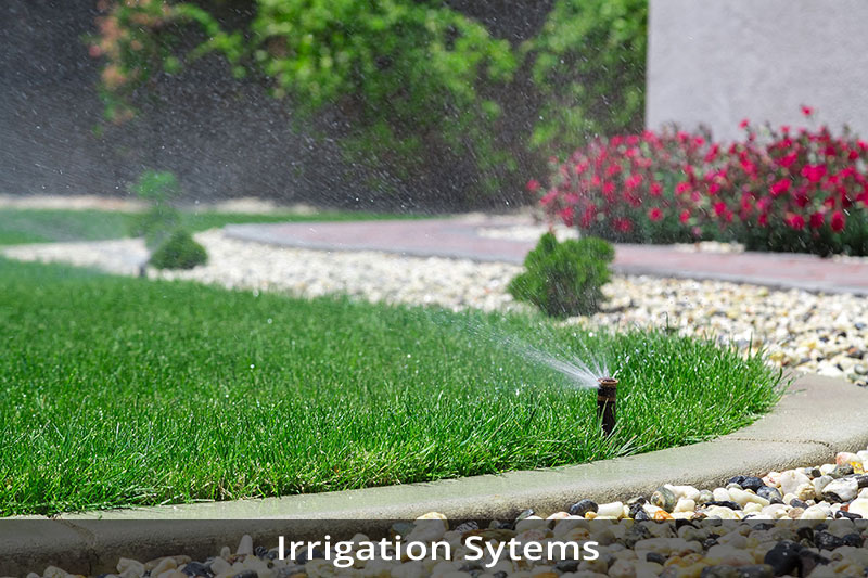 A garden with grass and water spraying from it.
